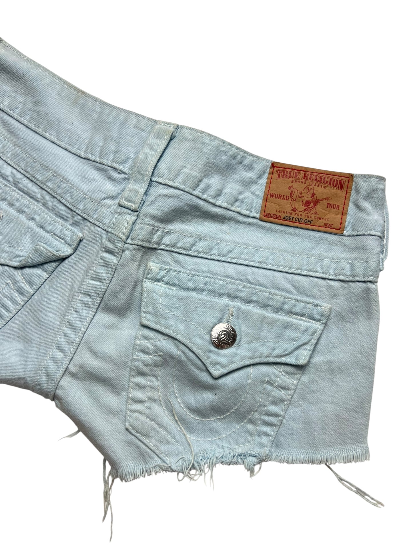 True Religion Shorts | 27 (S)