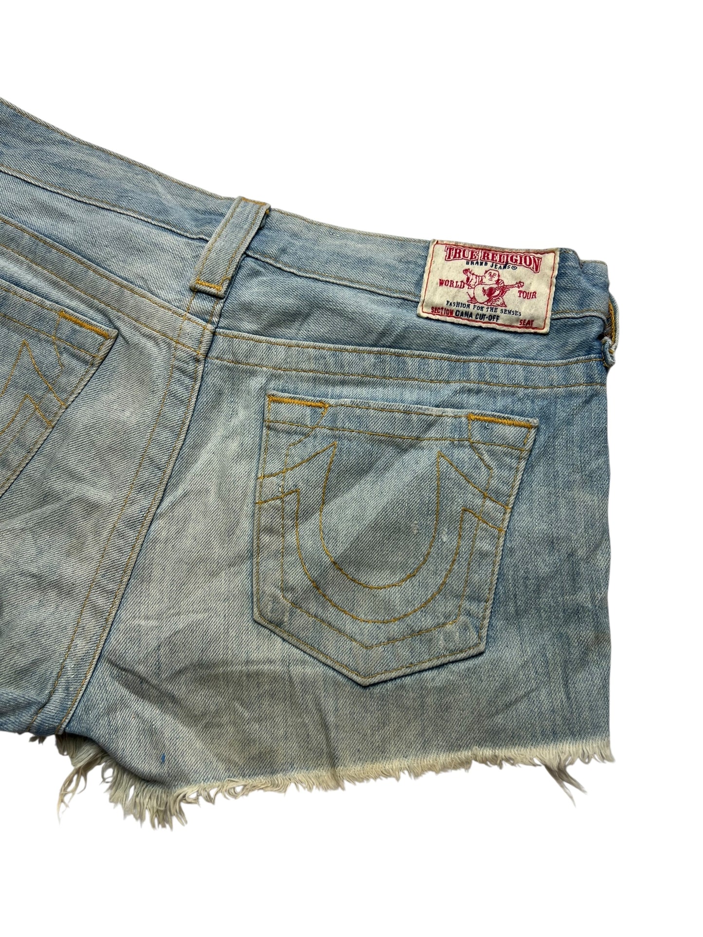 True Religion Shorts | 28 (L)