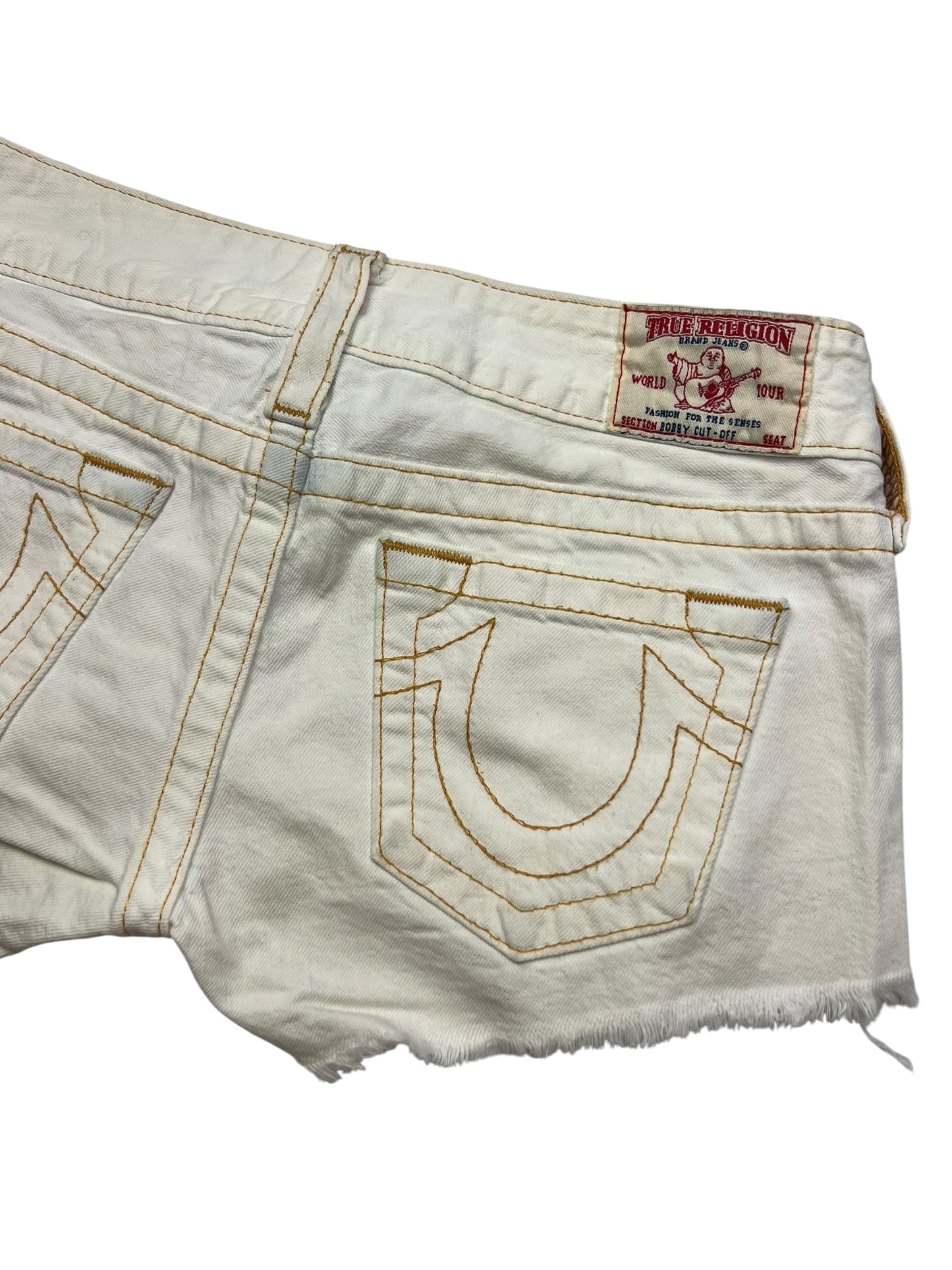 True Religion Shorts | 27 (M)