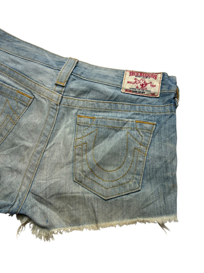 True Religion Shorts | 28 (L)