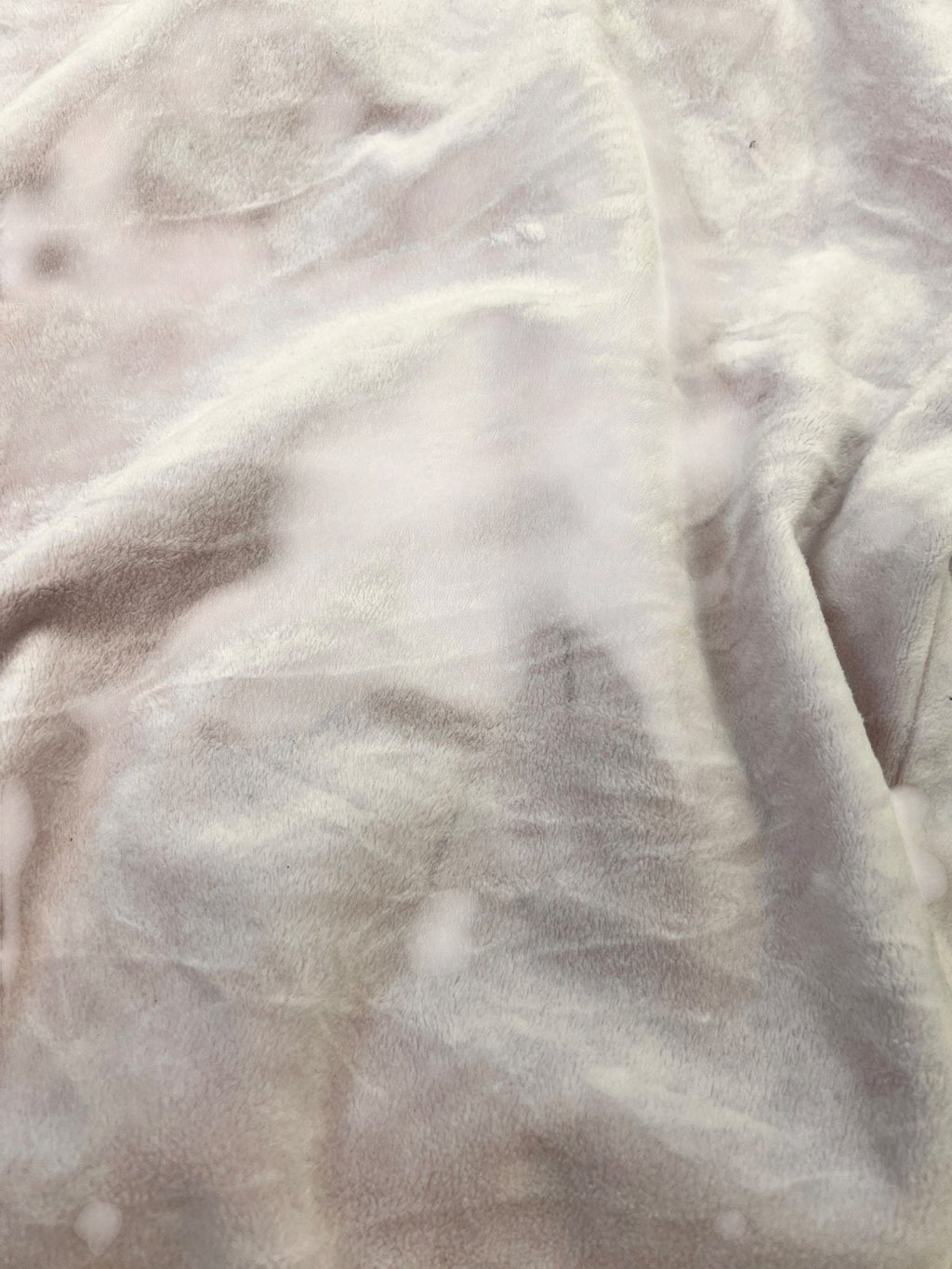 Bebe Zip Hoodie | XL - ZAZA resell